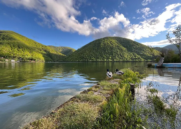 Ferienhaus Vikendica - Rajski Poluotok *
